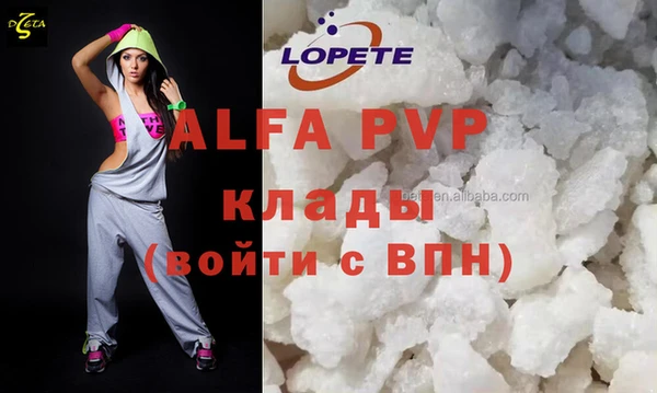 прущие грибы Абаза
