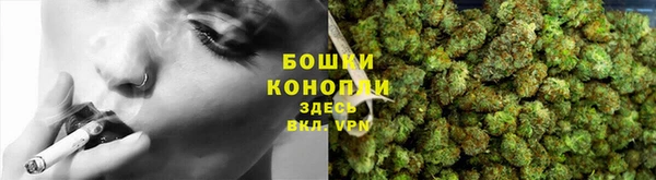 метадон Новодвинск