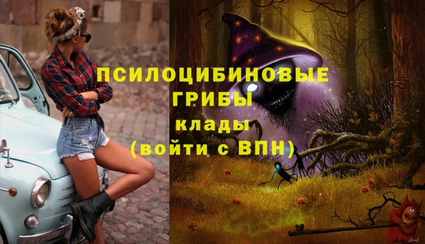 прущие грибы Абаза