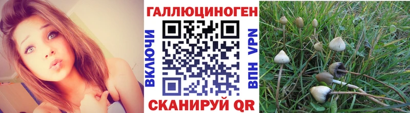 Псилоцибиновые грибы ЛСД  цена   Ангарск 