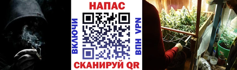Канабис SATIVA & INDICA  закладка  Ангарск 